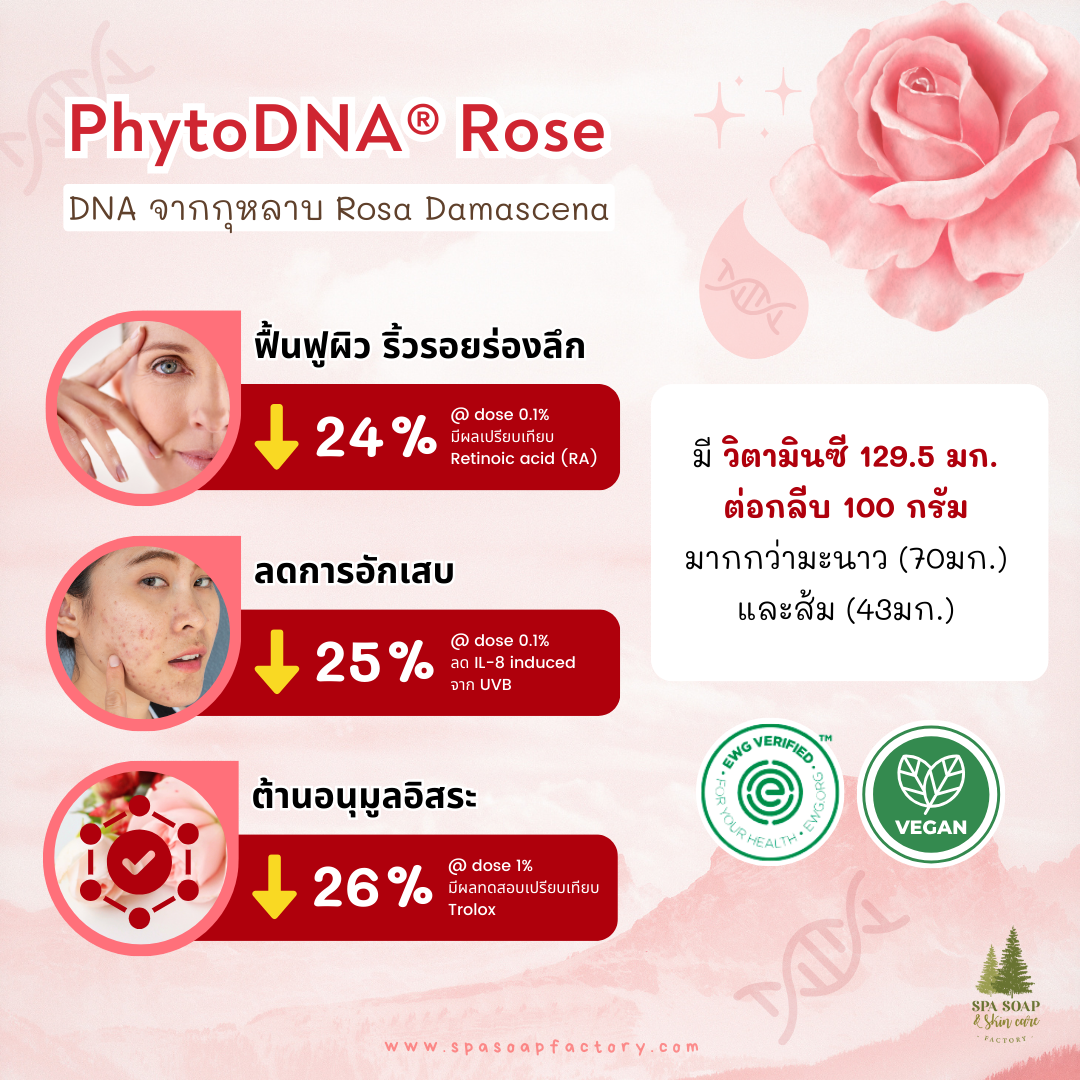 PhytoDNA PDRN จากพืช ตอบรับเทรนด์ Vegan beauty PhytoDNA PDRN จากพืช ตอบรับเทรนด์ Vegan beauty