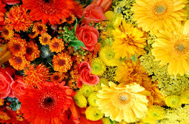 หัวน้ำหอม กลิ่นพฤกษา รหัส 002141