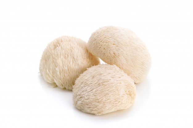 ผงเห็ดยามาบูชิตาเกะ yamabushitake 25g 006323