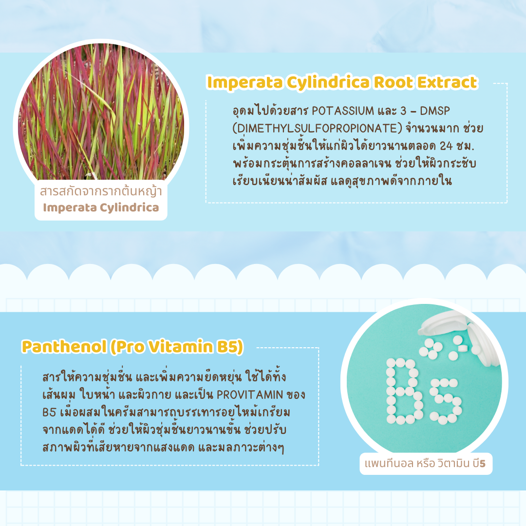 รวมสารสกัดล็อคความชุ่มชื้น ฟื้นฟูผิวแพ้ง่าย อิ่มน้ำ สุขภาพดี