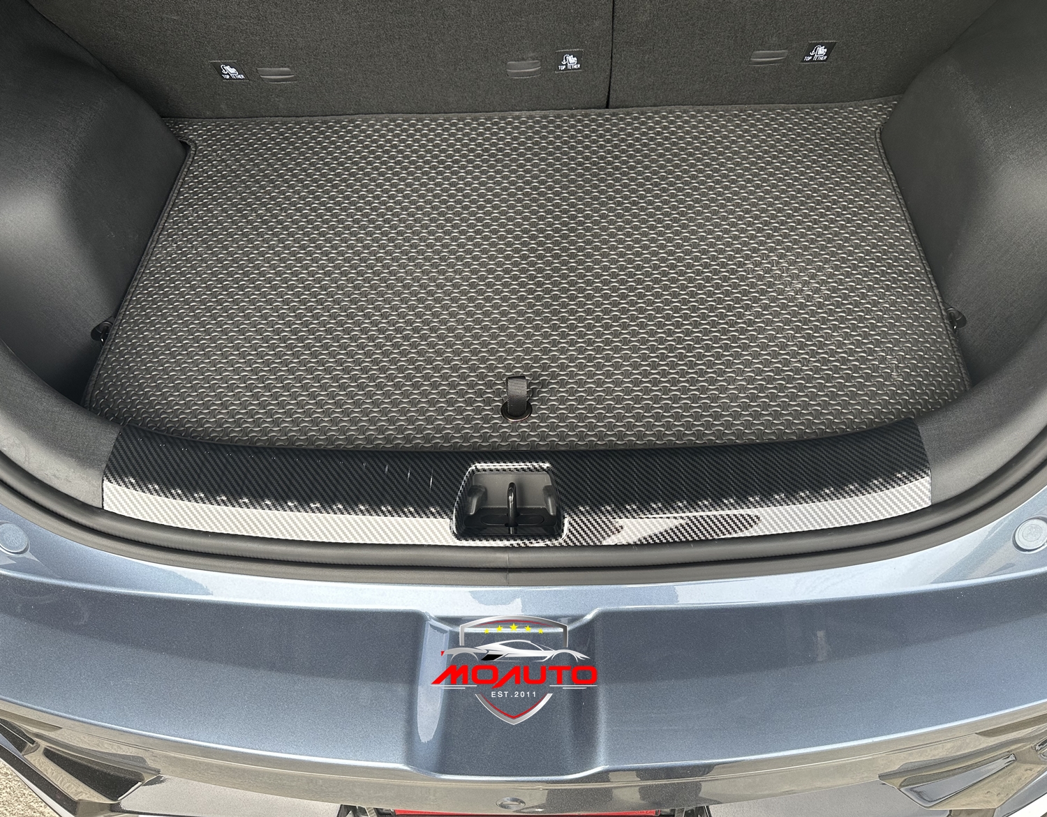 เพลทกันรอยท้ายภายใน คาร์บอน BYD DOLPHIN