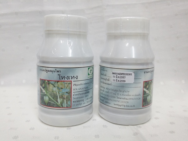 ยาแคปซูลสมุนไพร "โทงเทง" บรรจุขวดๆ ละ 100 แคปซูล