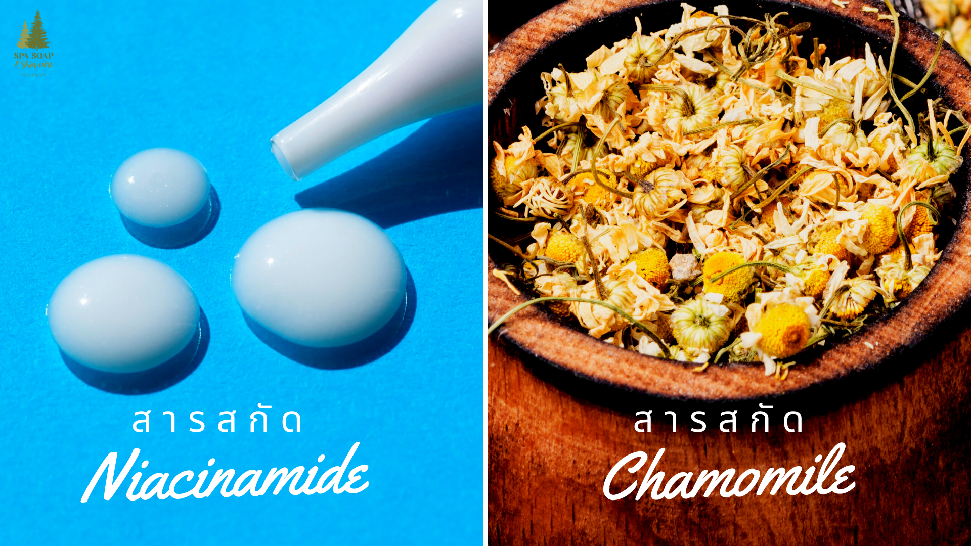 Vitamin B3-Niacinamide-CHAMOMILE EXTRACT Vitamin B3-Niacinamide-CHAMOMILE EXTRACT