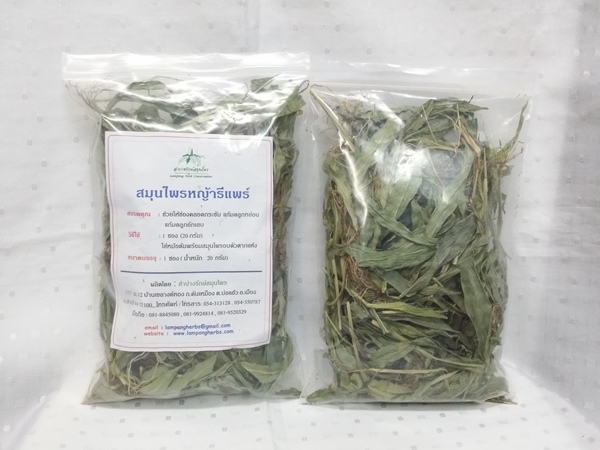 สมุนไพร "หญ้ารีแพร์ (หญ้าฮี๋ยุ่ม)" ชนิดอบแห้ง บรรจุถุงซิปละ 20 กรัม