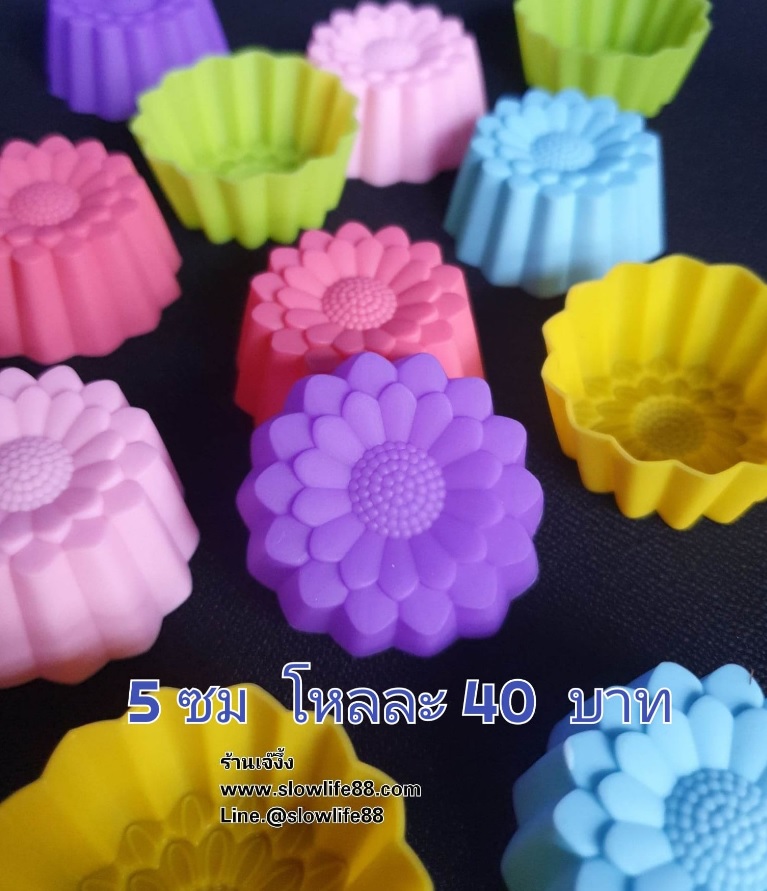 SL540 พิมพ์ซิลิโคน พิมพ์วุ้น 5 ซม จำนวน 12ชิ้น