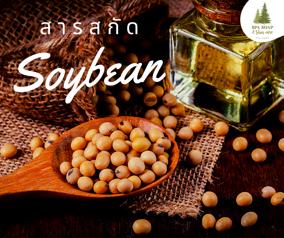 Soybean Extract Soybean Extract