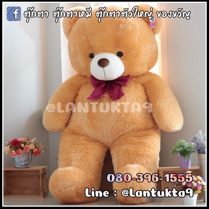 ตุ๊กตาหมีสำหรับเซอร์ไพรส์แฟน