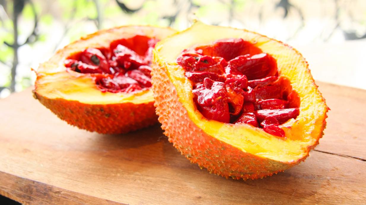 ฟักข้าว/Gac Fruit
