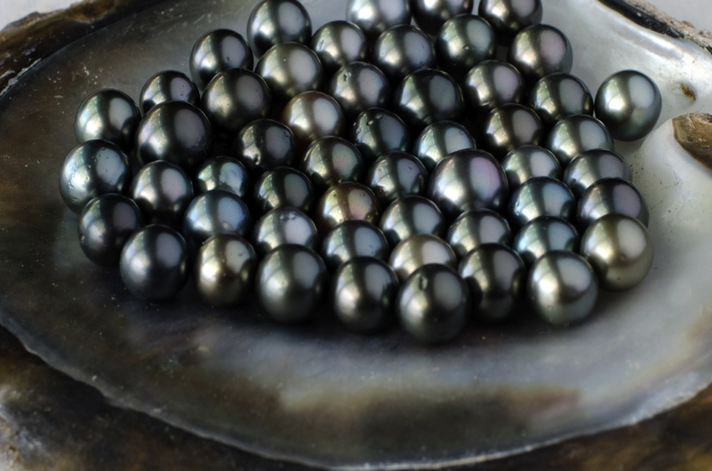 Black pearl protein extract SRR สารสกัด โปรตีนไข่มุกสีดำ เกาหลี 006055