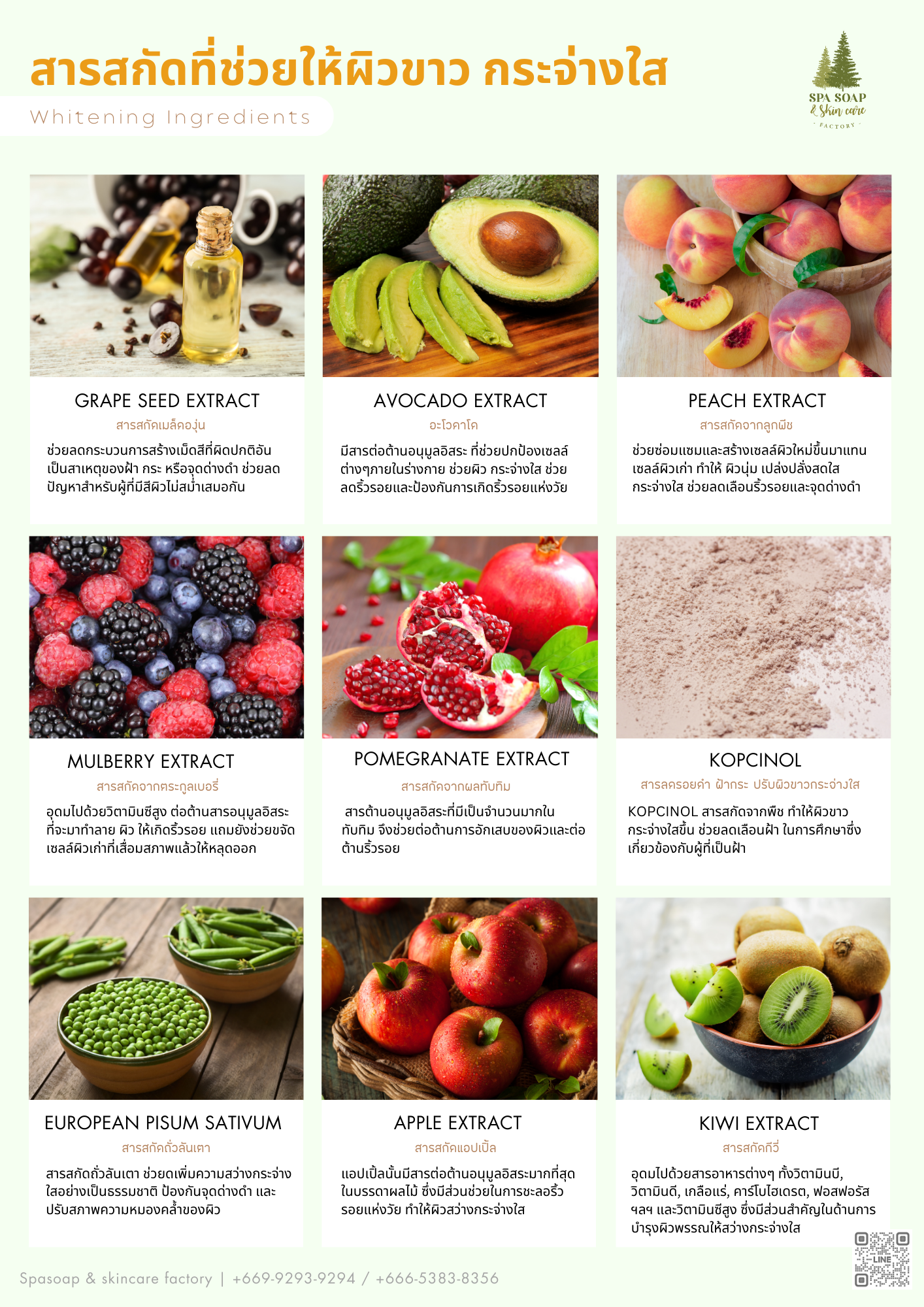 Spasoap & skincare factory ingredients Spasoap & skincare factory ingredients