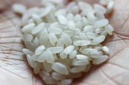 ผงข้าวญี่ปุ่น 100 g 002134