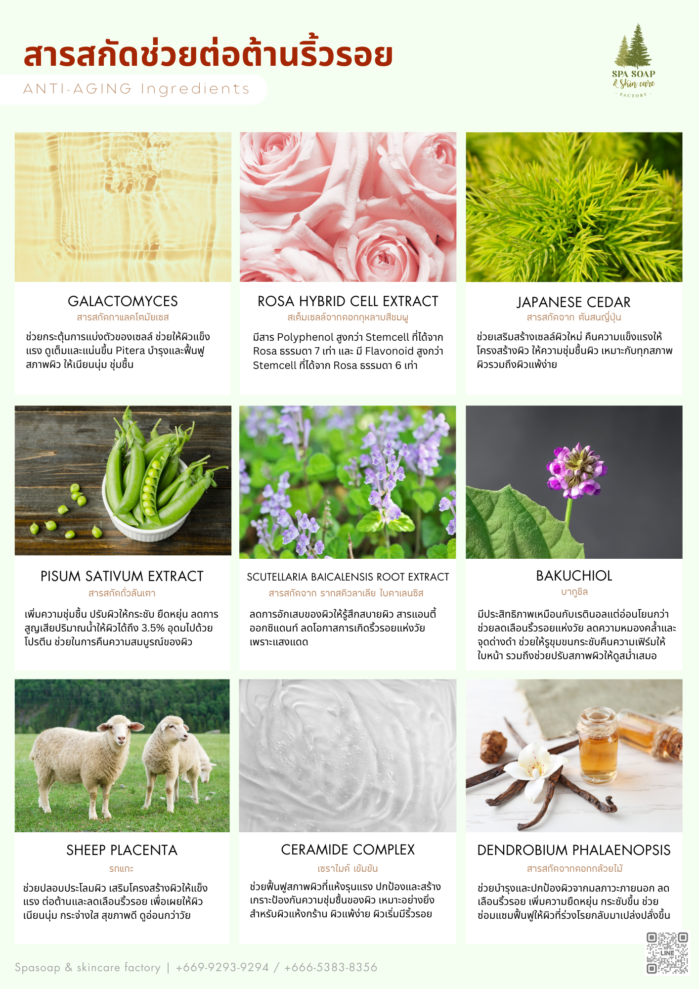 Spasoap & skincare factory ingredients