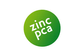 Zinc Pca liquid 100ml