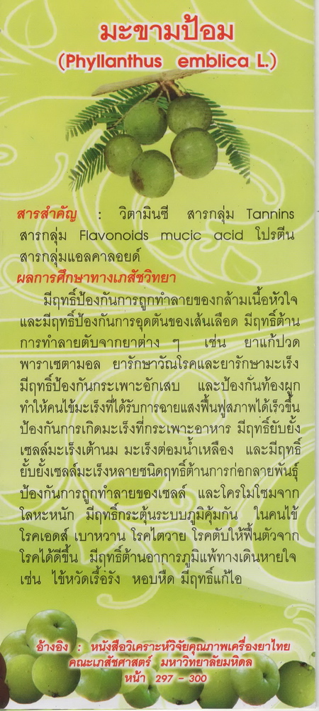 แคปซูลสมุนไพร ตรีผลา (มะขามป้อม สมอไทย สมอพิเภก) บรรจุ 120 แคปซูล