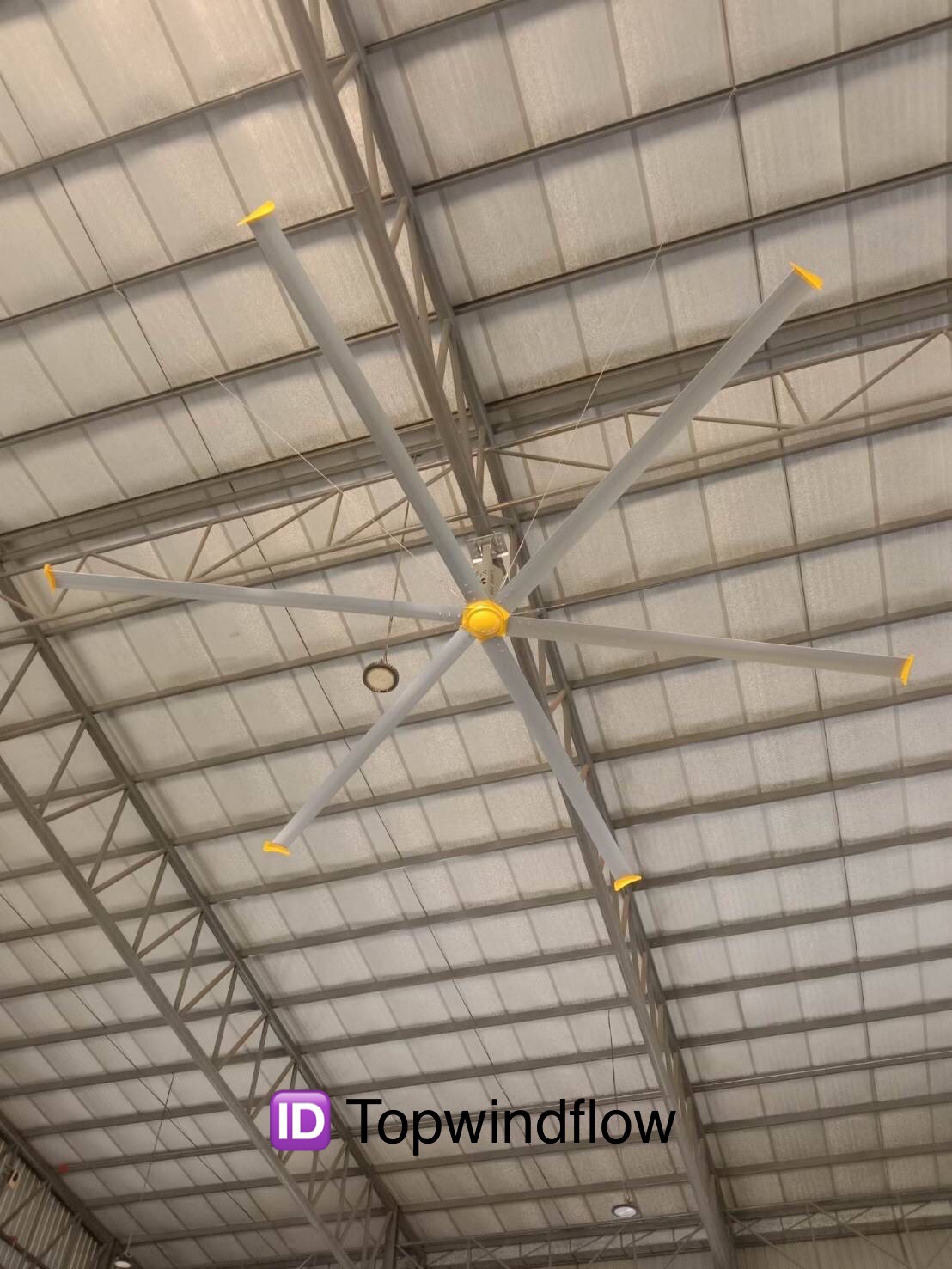 Big Fan ขนาด 6.2M