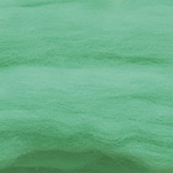 สี J055-Peppermint