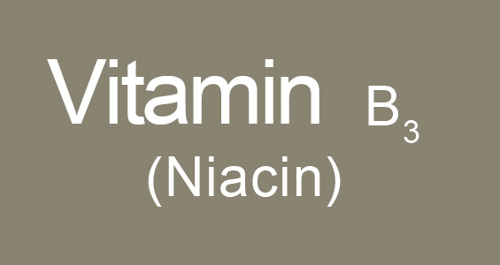 Vitamin B3 Niacinamide 100g