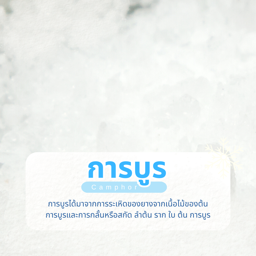 กลิ่นหอมเย็นในเครื่องสำอาง มาจากไหน? กลิ่นหอมเย็นในเครื่องสำอาง มาจากไหน?