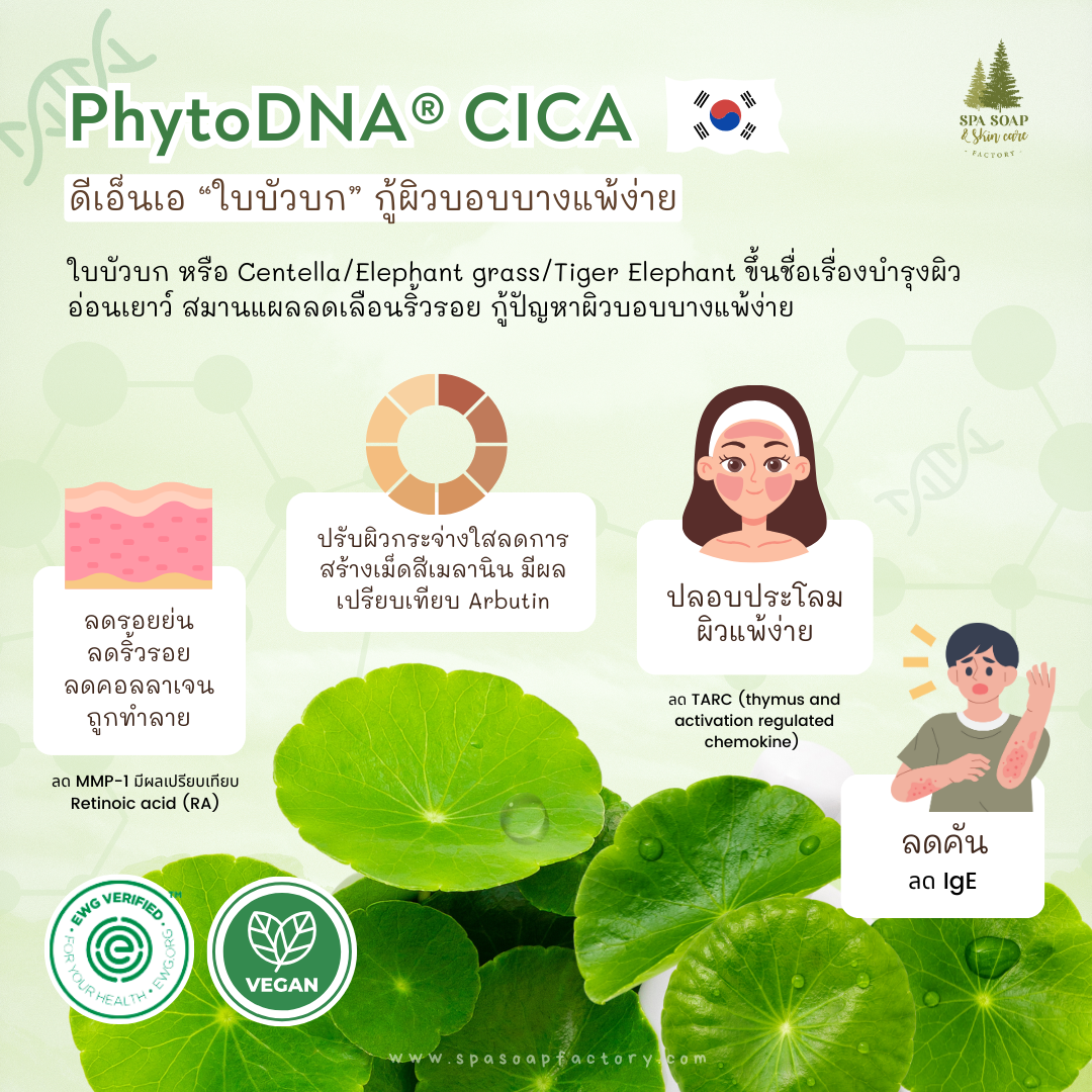 PhytoDNA PDRN จากพืช ตอบรับเทรนด์ Vegan beauty PhytoDNA PDRN จากพืช ตอบรับเทรนด์ Vegan beauty