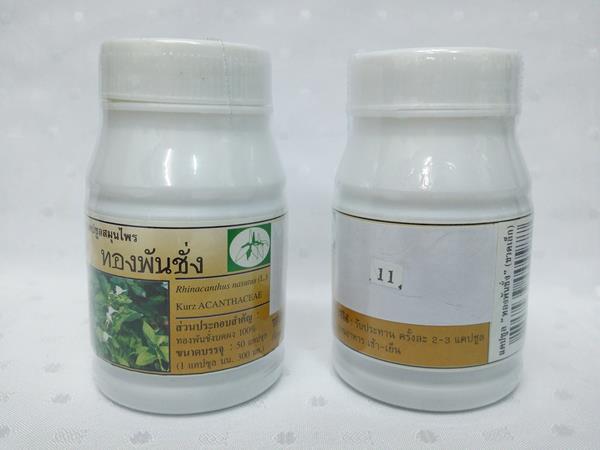 ยาแคปซูลสมุนไพร "ทองพันชั่ง" บรรจุขวดๆ ละ 50 แคปซูล