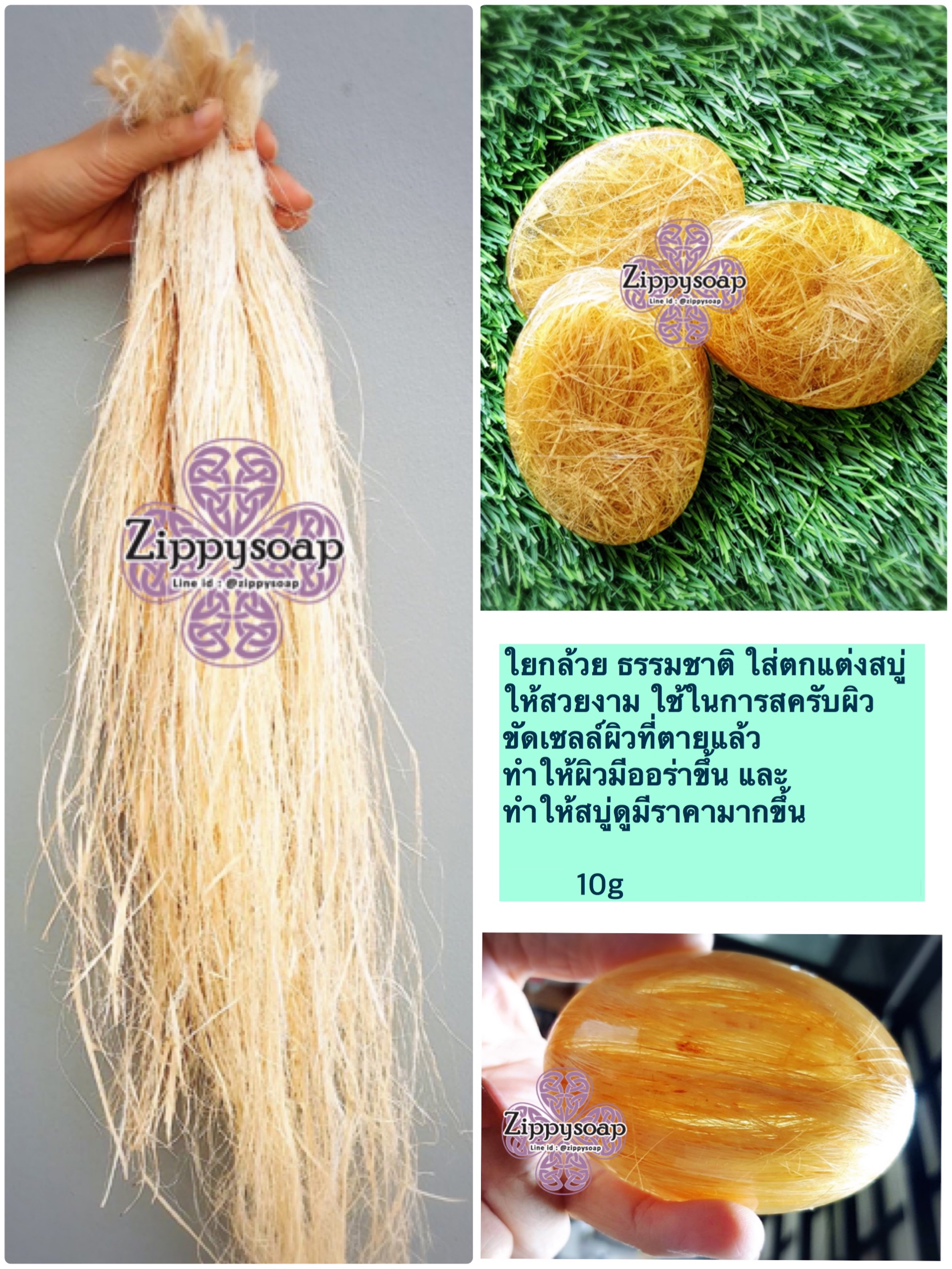ใยกล้วย 10 กรัม 006243