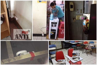 บริการติดตั้ง เครื่องไล่หนู โรงเรียนสอนภาษา