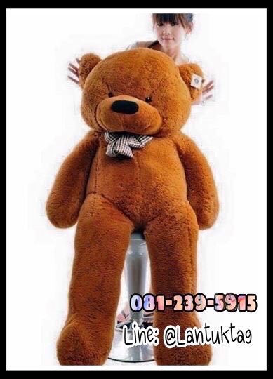ตุ๊กตาหมีสีน้ำตาลเข้ม ลืมตา 140เซนติเมตร