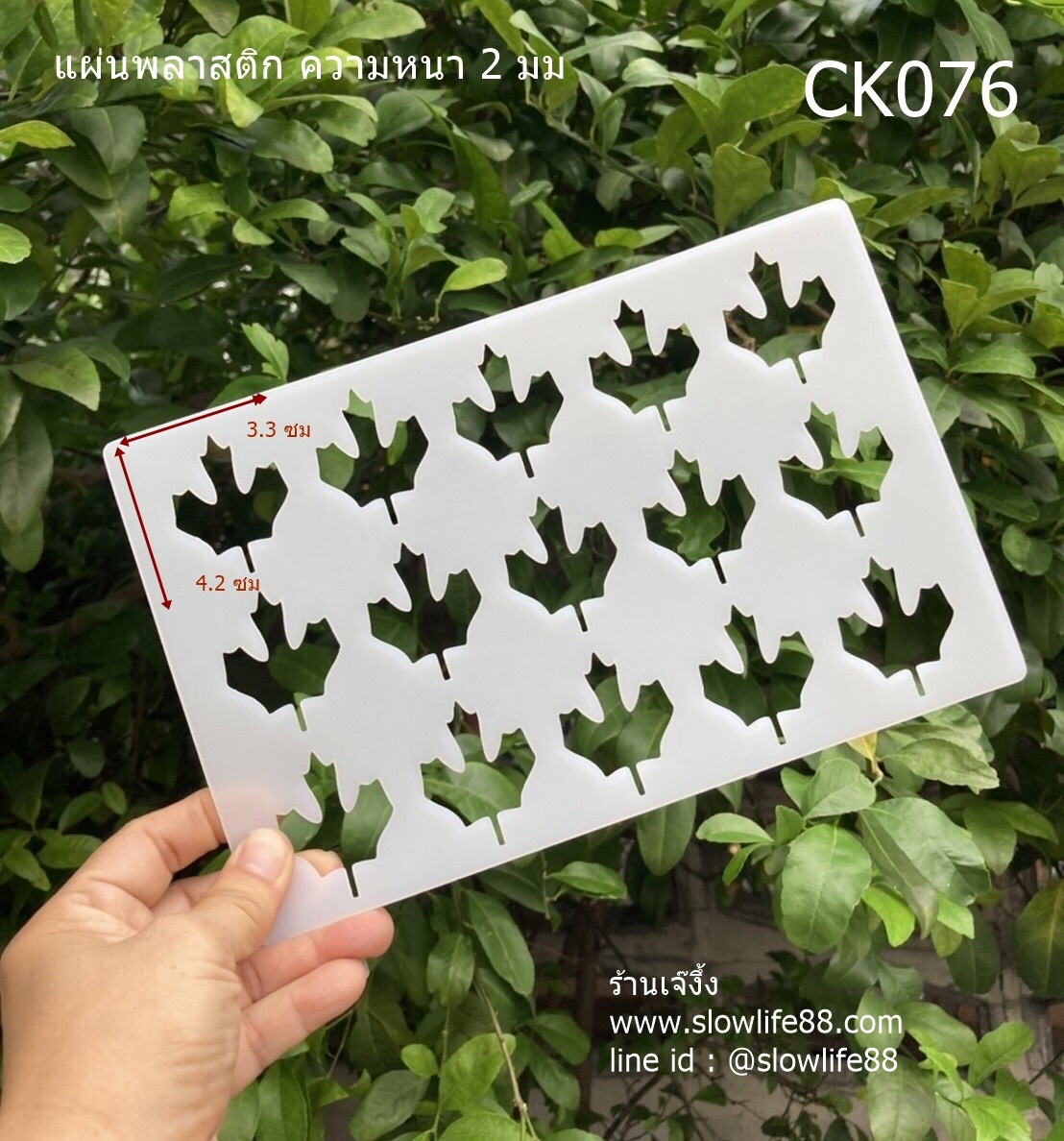 CK076 พิมพ์คุกกี้ พิมพ์ชิโรอิ พิมพ์ขนม ใบเมเปิ้ล