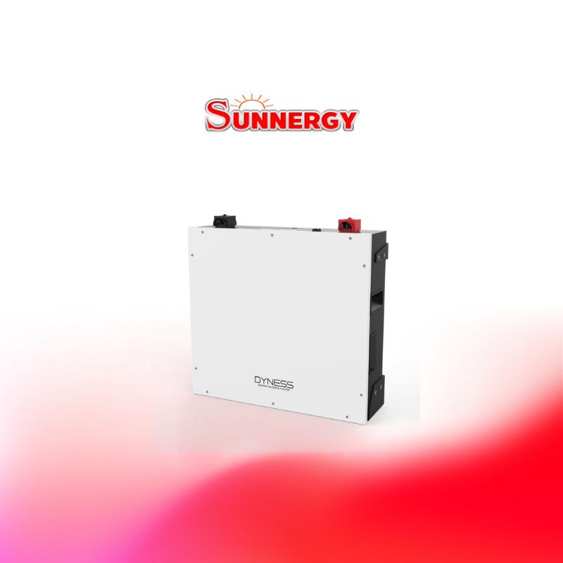 Dyness Battery DL5.0C lithium 51.2 V 100AH, 5.12kwh( 7 years warranty)