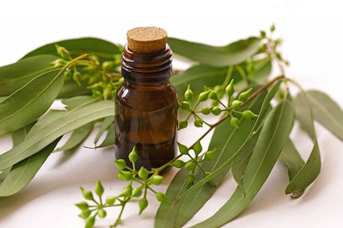หัวน้ำหอม กลิ่นยูคาลิปตัส Eucalyptus 008054