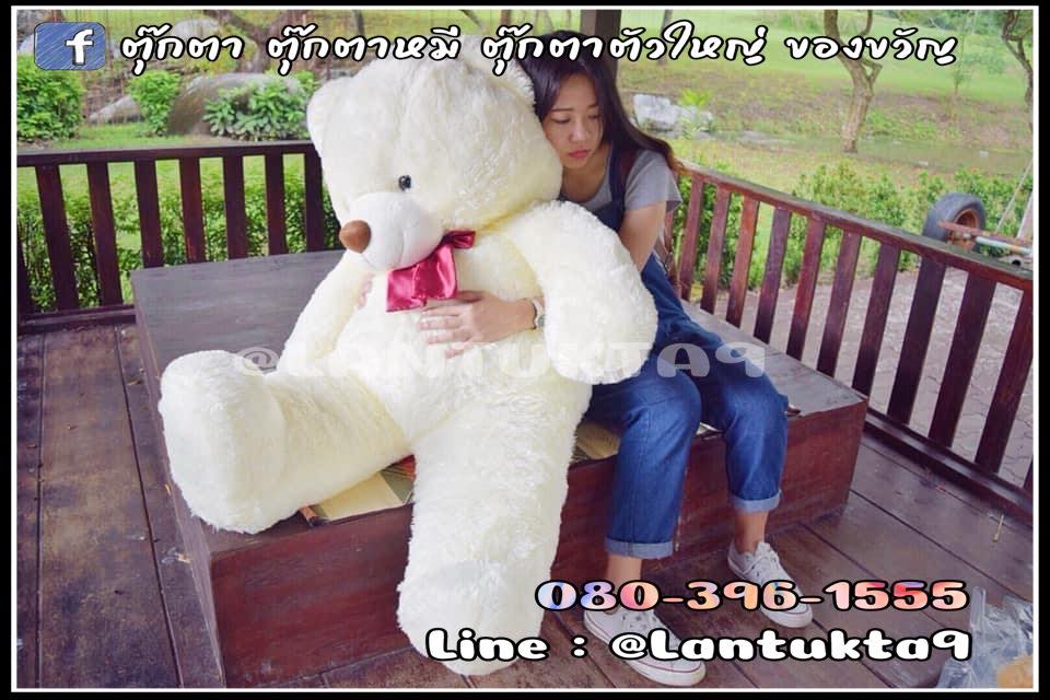 ตุ๊กตาหมีนั่งโต๊ะ ทำมุมถ่ายภาพสวย