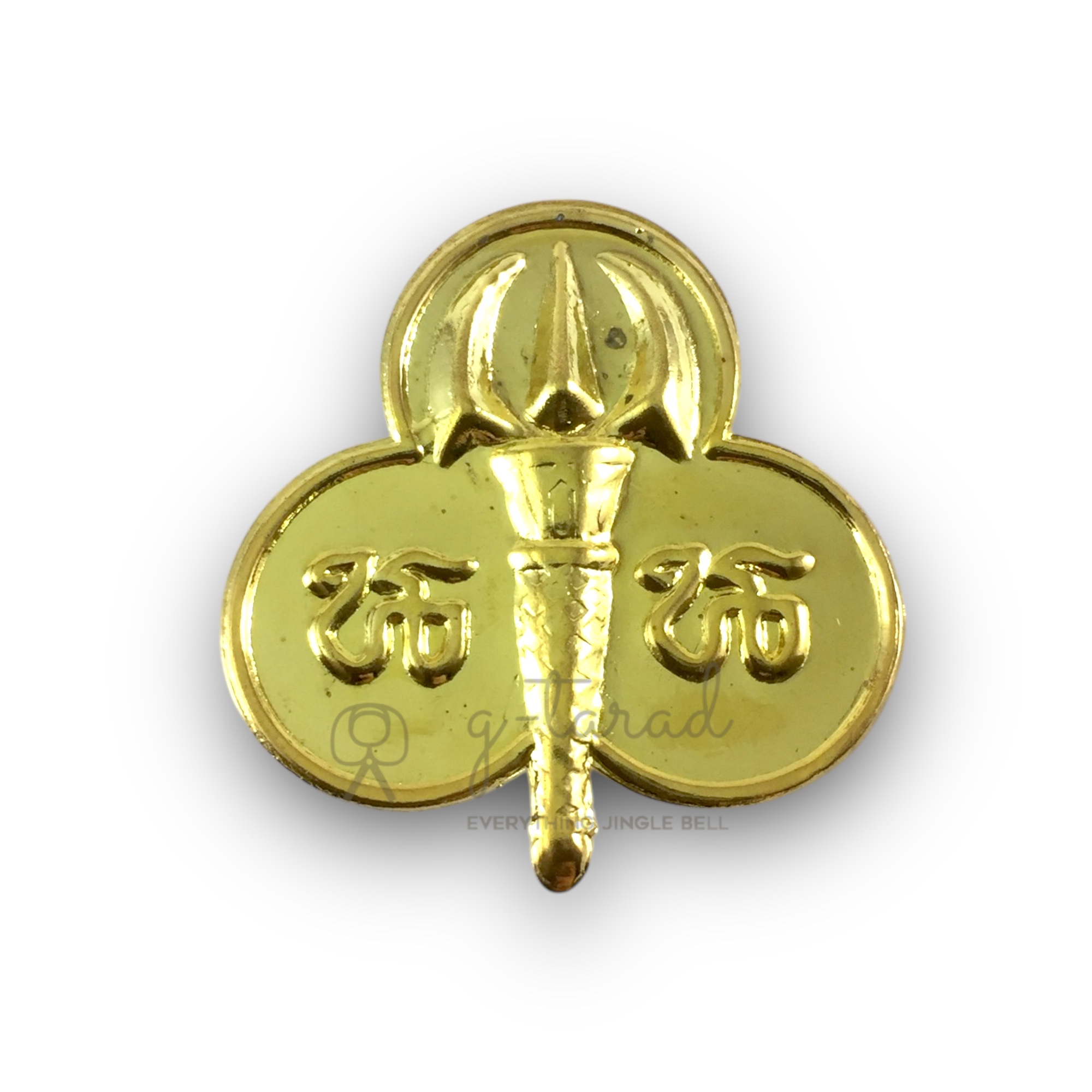 เข็มติดหมวก เข็มติดอก เนตรนารี เนตรนารีเหล่าอากาศ