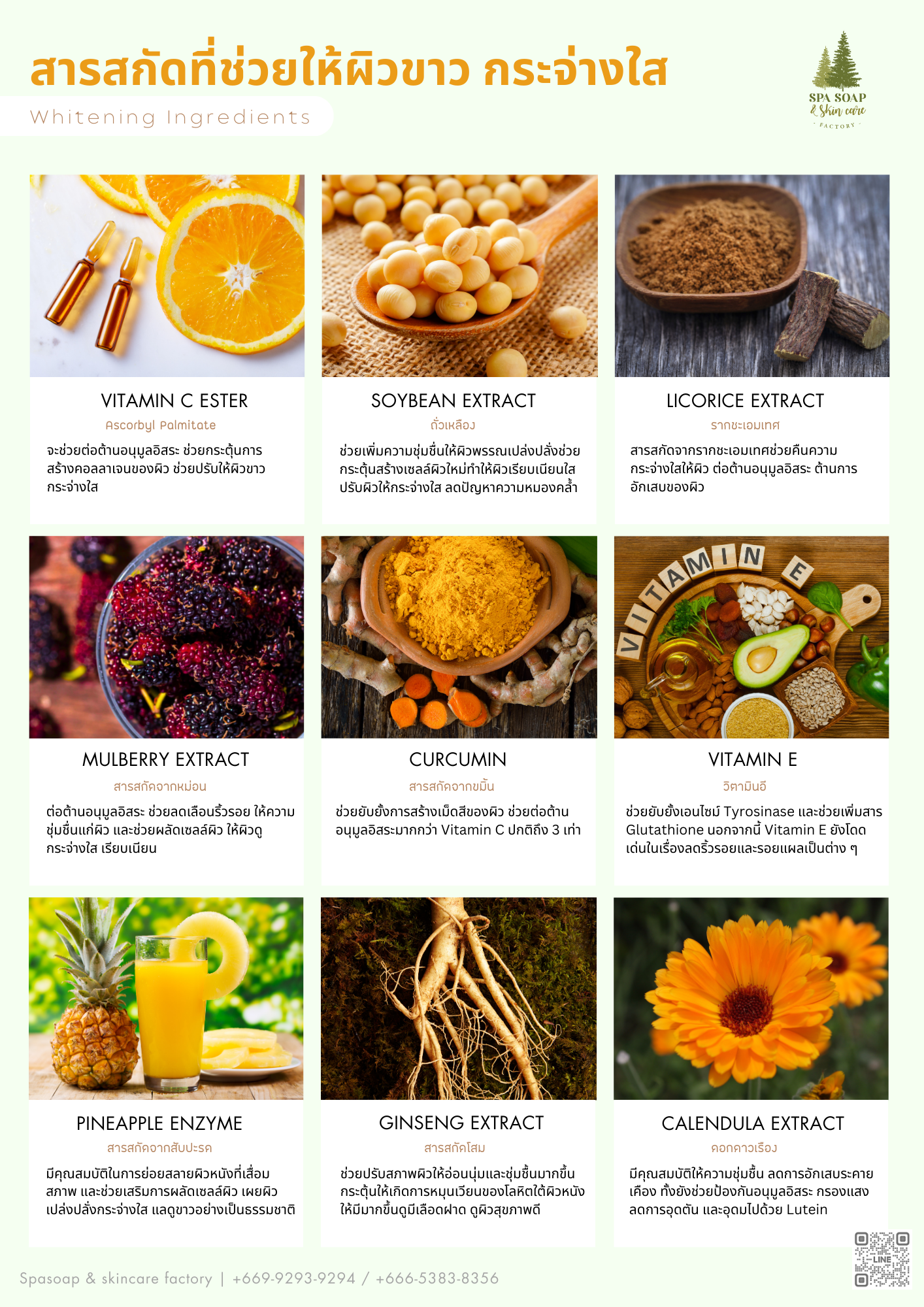 Spasoap & skincare factory ingredients Spasoap & skincare factory ingredients