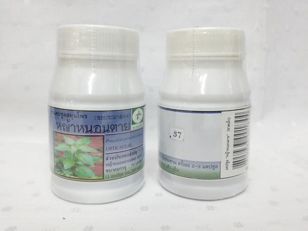 ยาแคปซูลสมุนไพร "หญ้าหนอนตาย(ขอบชะนางแดง)" บรรจุขวดๆ ละ 50 แคปซูล