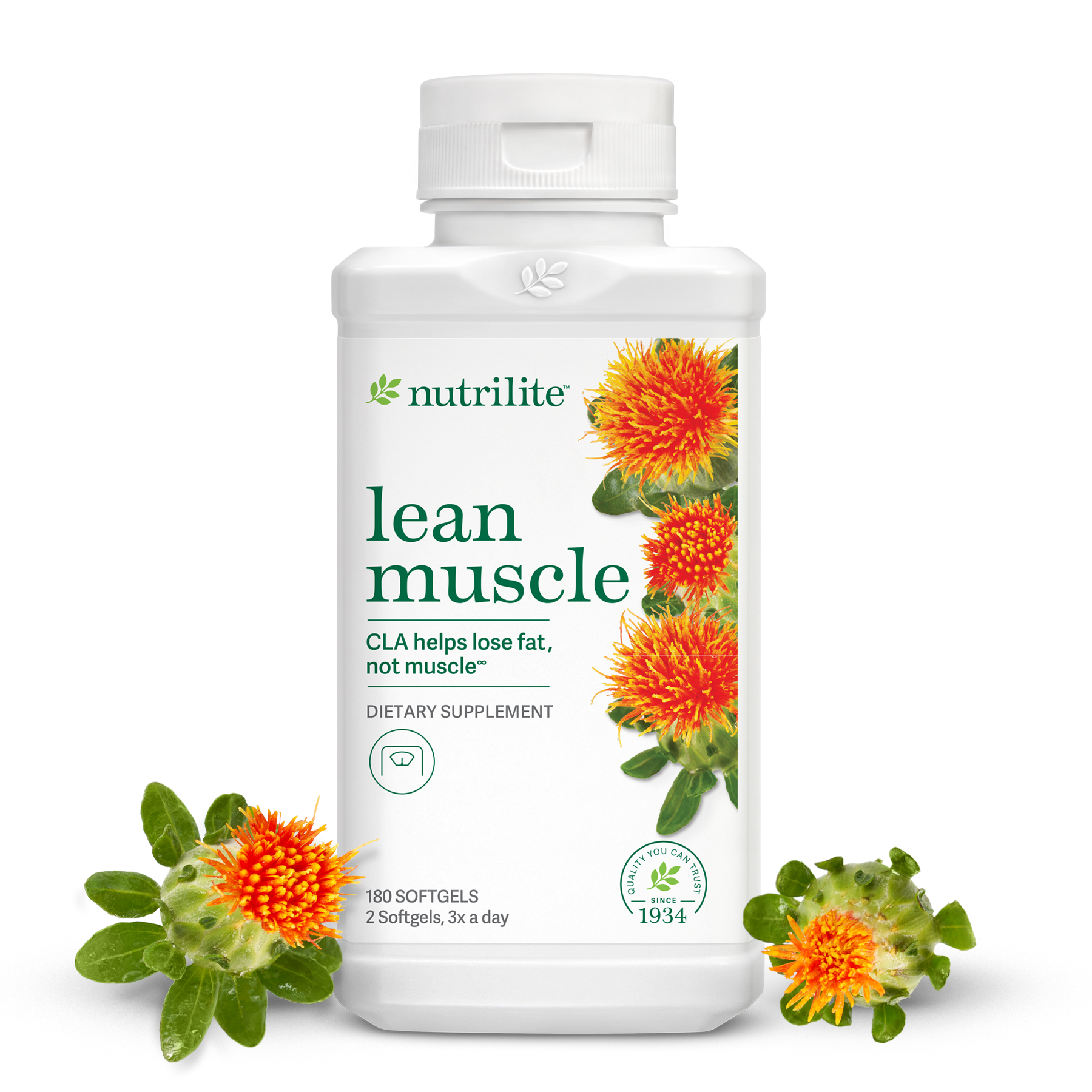 ส่งฟรี!!Nutrilite CLA 500 Lean Muscle CLA น้ำมันดอกคำฝอย" ช้อปUSA