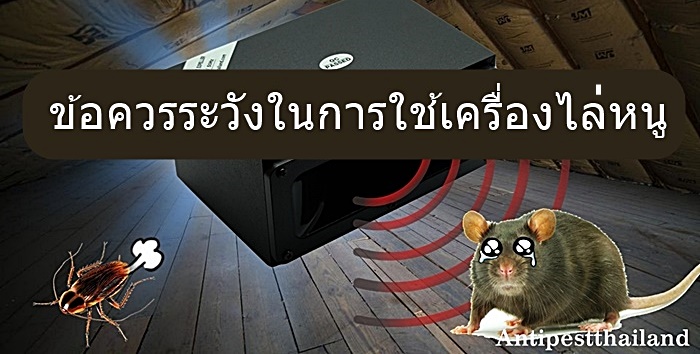 กำจัดหนูอย่างไร ด้วยเครื่องไล่หนู