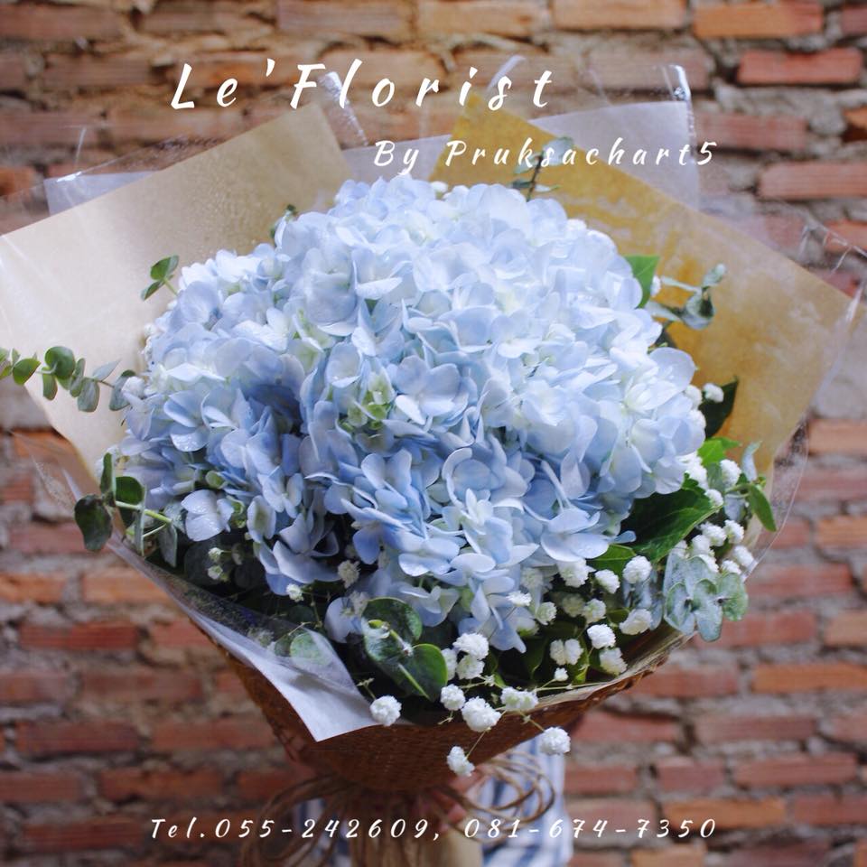 B23 HYDREMGAE BOUQUET