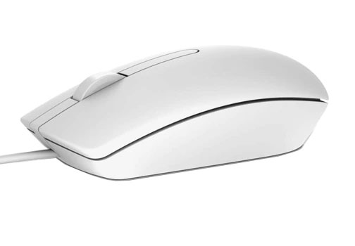 Dell Optical Mouse MS116 สีขาว USB Mouse