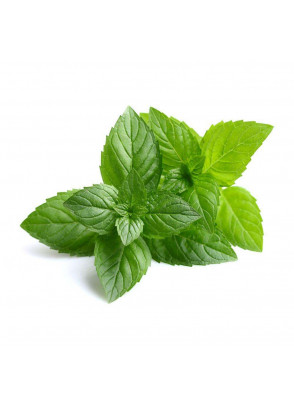 Peppermint Water 100 ml 007430