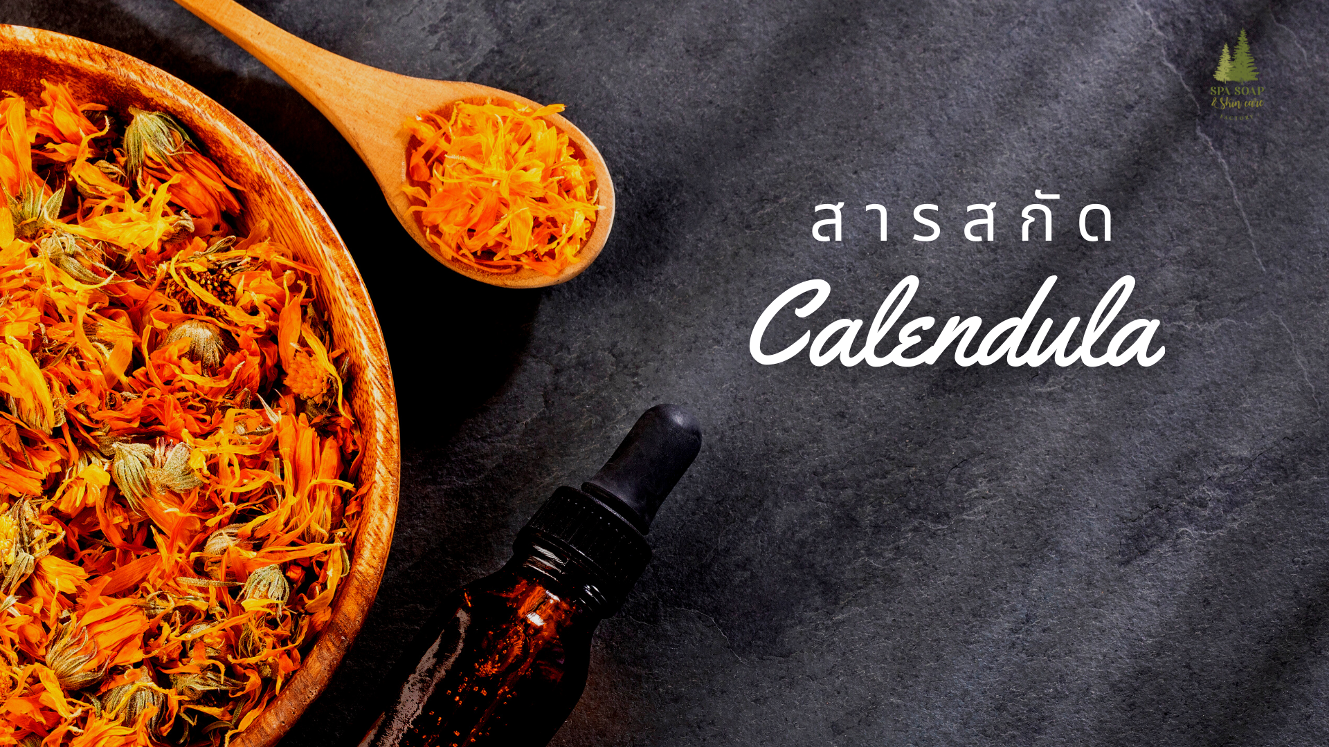 Calendula Extract