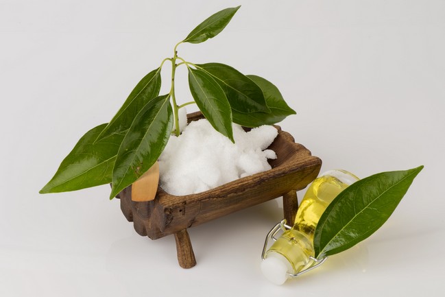 น้ำมันหอมระเหย การบูร Camphor Essential Oil VG 50 ml 005310