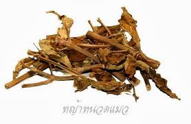 ผงหญ้าหนวดแมว (100 g)