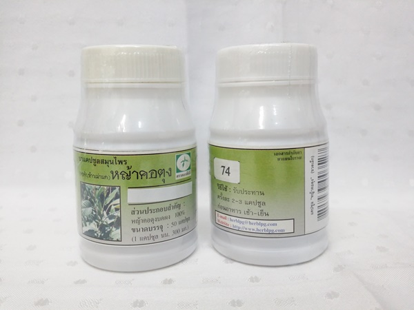 ยาแคปซูลสมุนไพร "หญ้าคอตุง" บรรจุขวดๆ ละ 50 แคปซูล