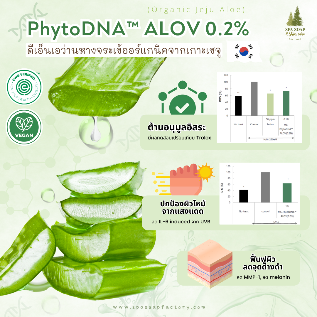 PhytoDNA PDRN จากพืช ตอบรับเทรนด์ Vegan beauty PhytoDNA PDRN จากพืช ตอบรับเทรนด์ Vegan beauty