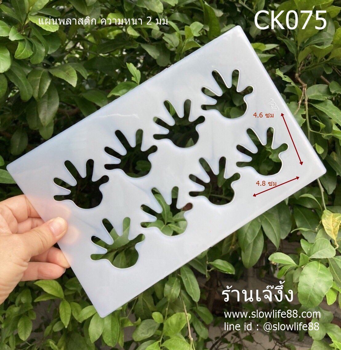 CK075 พิมพ์คุกกี้ พิมพ์ชิโรอิ ฝ่ามือ