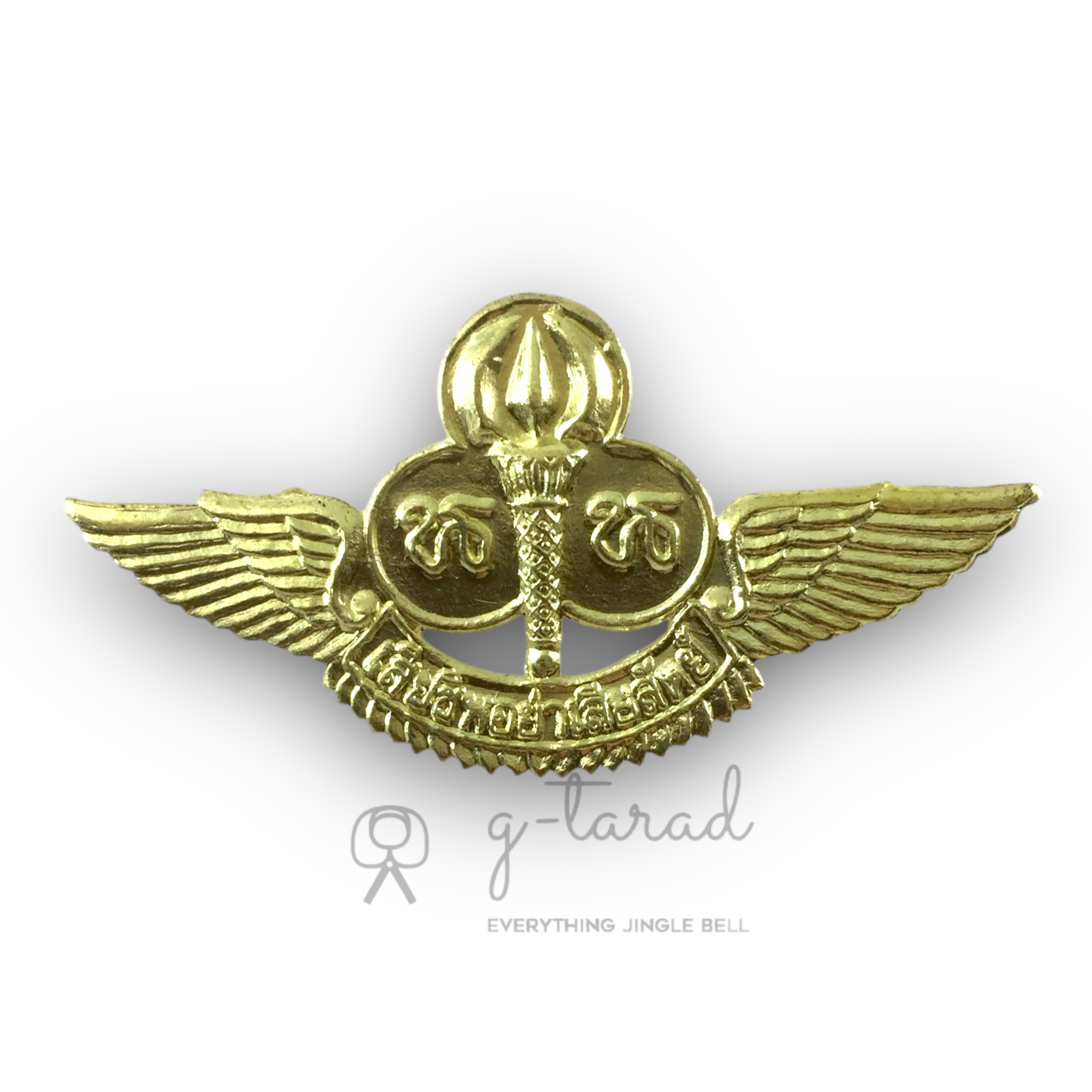 เข็มติดหมวก เข็มติดอก เนตรนารี เนตรนารีเหล่าอากาศ