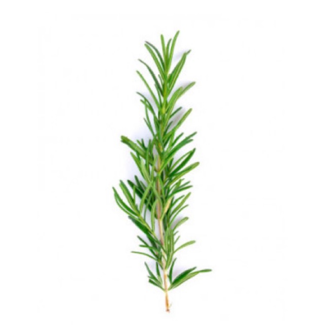 Rosemary Water น้ำโรสแมรี่ 100 ml 006718