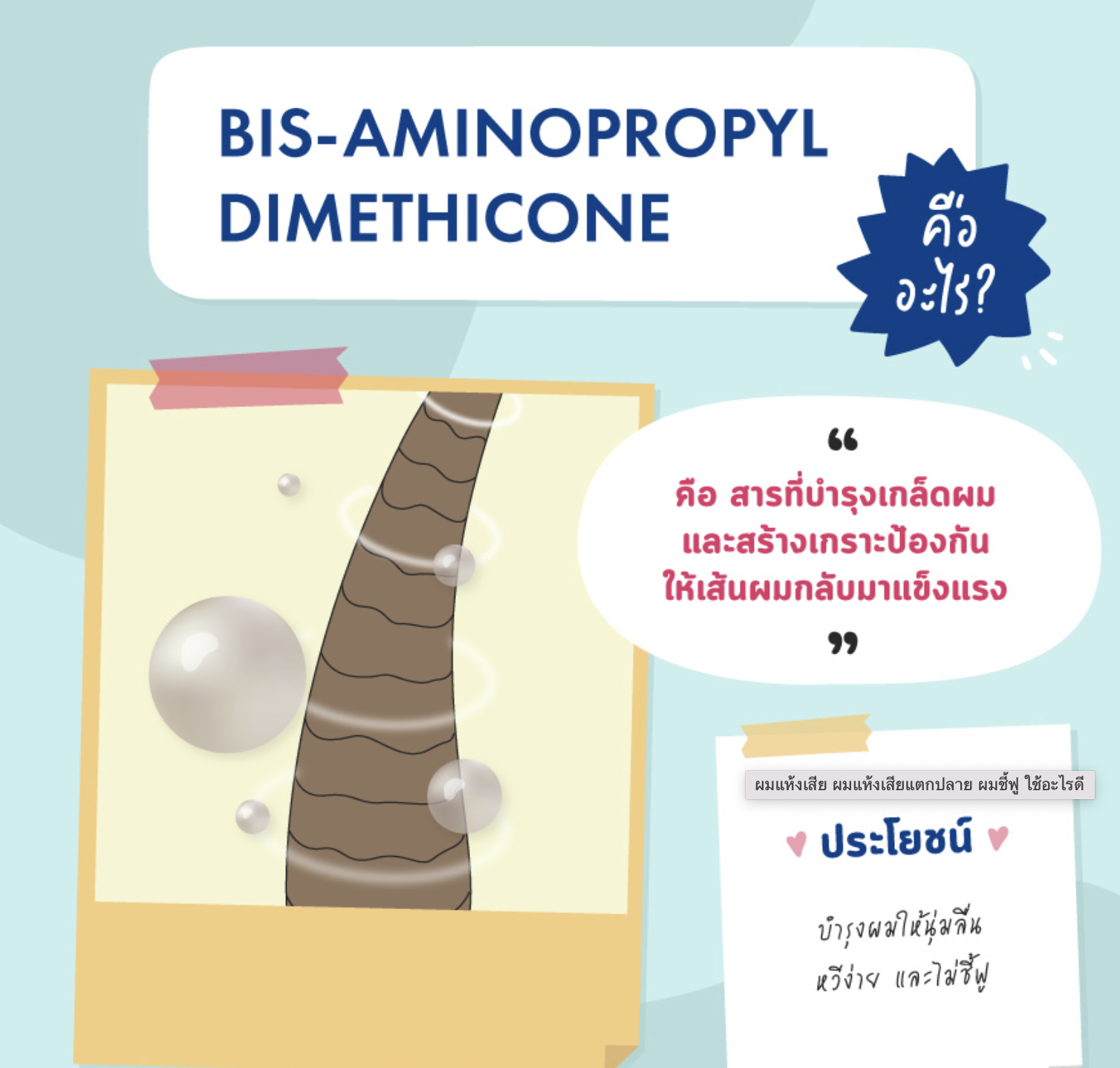 Bis-Aminopropyl Dimethicone สารเคลือบบำรุงให้ผมนุ่ม 50 ml 005665