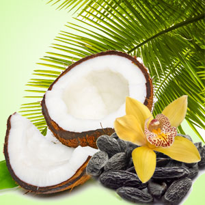 หัวน้ำหอม NG Exotic Coconut Type ไม่เร่งเทรซ 005412