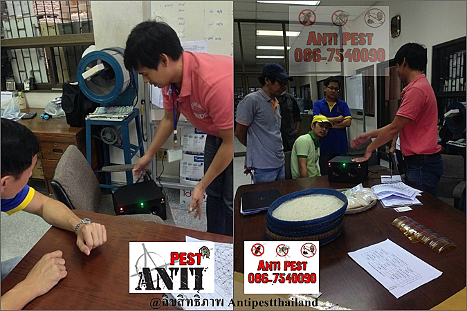 รีวิวเครื่องไล่หนูสยามเกรนส์